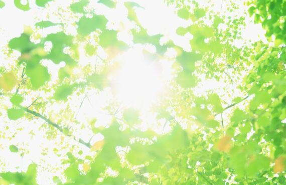 熊本で外壁塗装なら楓塗装